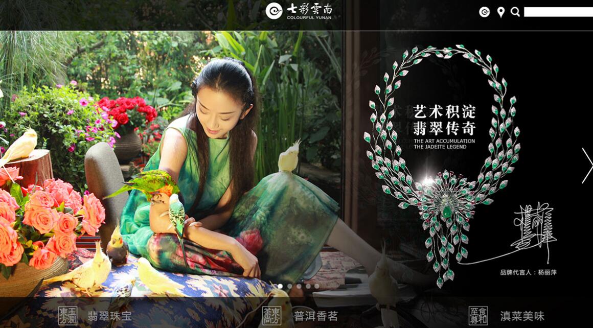 三元橋網(wǎng)站設計公司